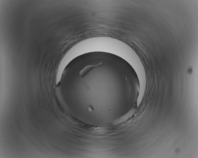 X0000116870088201001121310