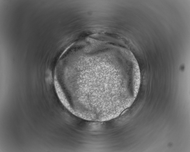 X0000116870089201001121310