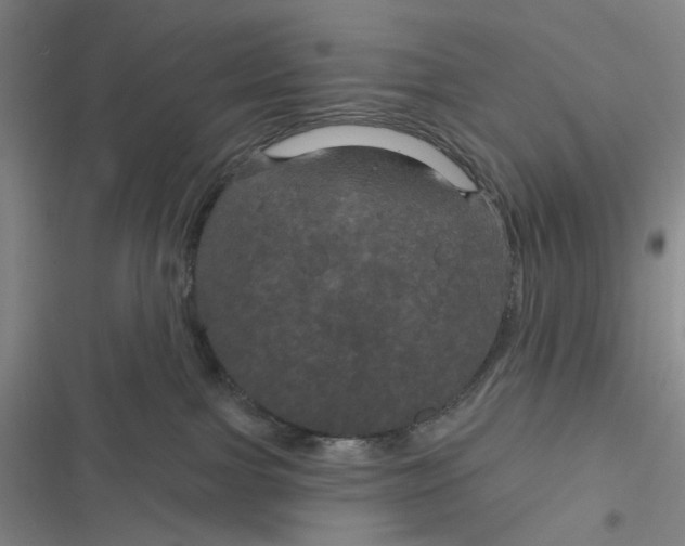 X0000116870091201001121310