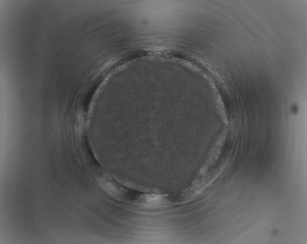 X0000116870093201001121311