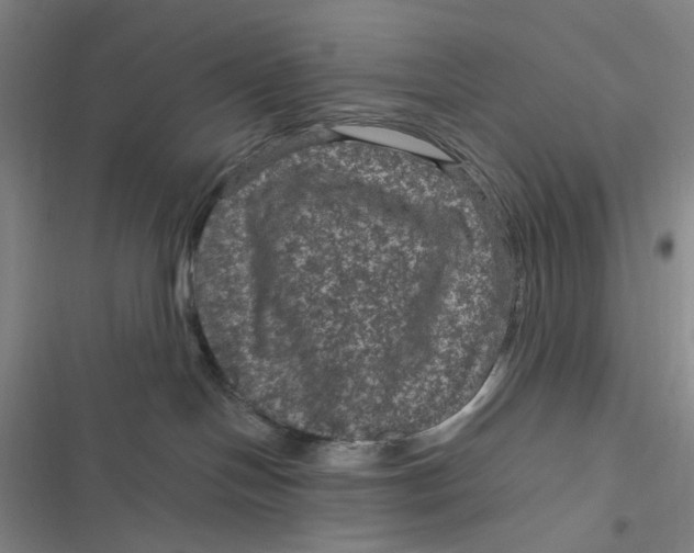 X0000116870094201001121311