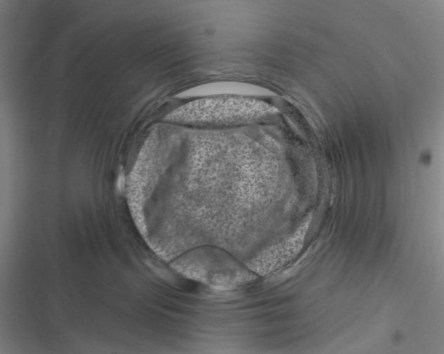 X0000116870095201001121311