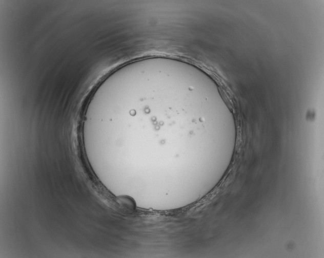 X0000116870098201001121310