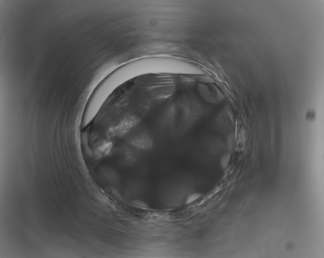 X0000116870099201001121310