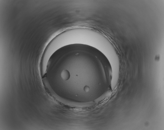 X0000116870100201001121310