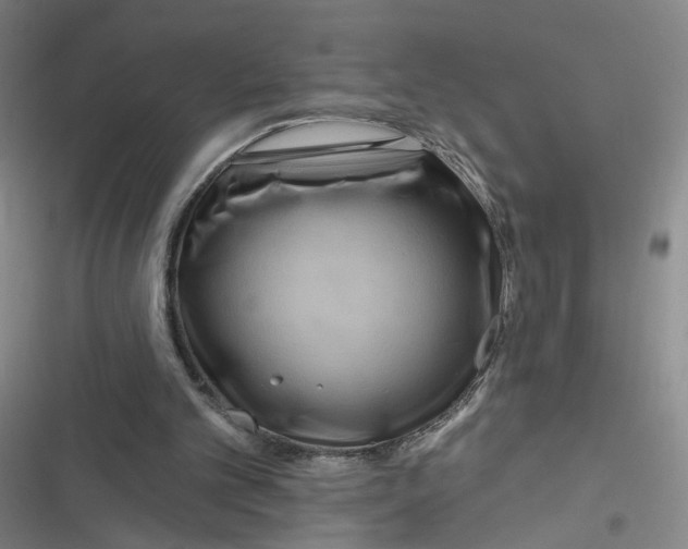 X0000116870101201001121310