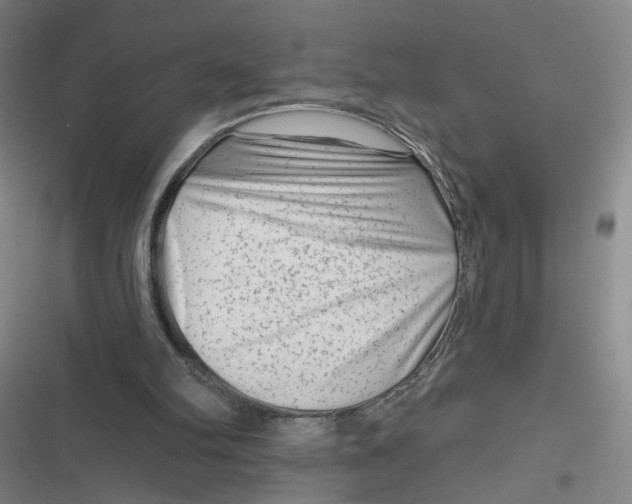 X0000116870102201001121310