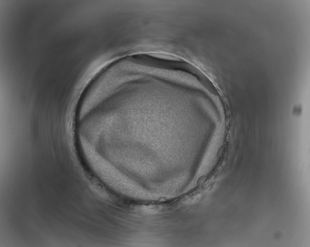 X0000116870103201001121310