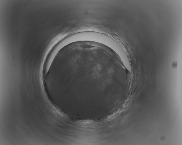 X0000116870104201001121310