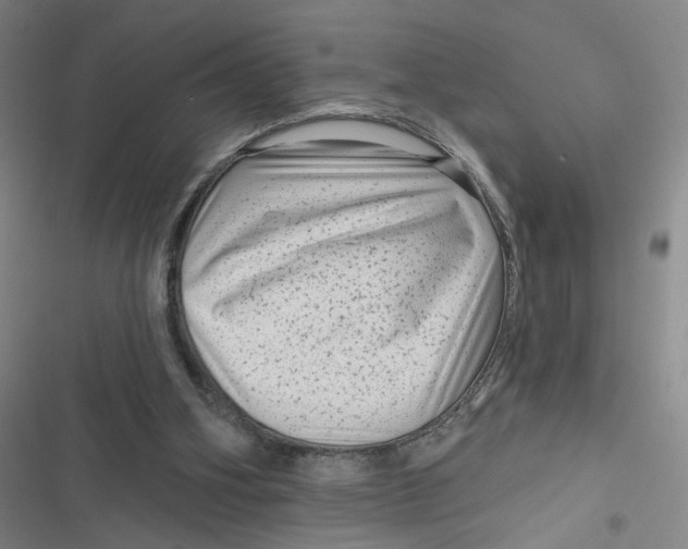 X0000116870106201001121310