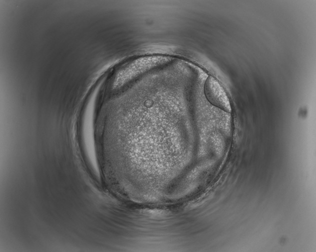 X0000116870107201001121310