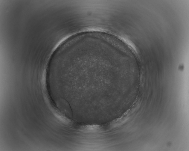 X0000116870108201001121310