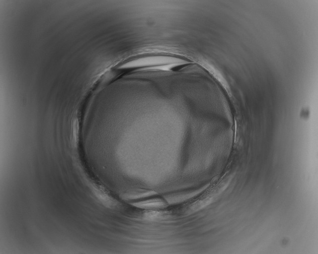 X0000116870109201001121310