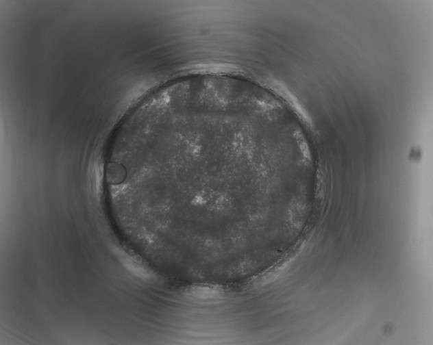 X0000116870110201001121310