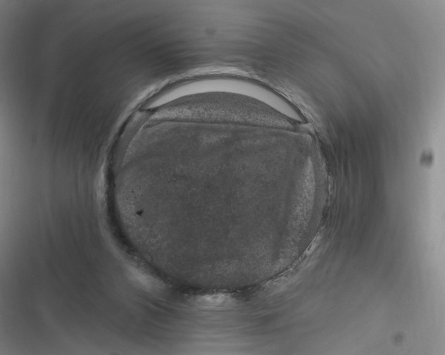 X0000116870112201001121310