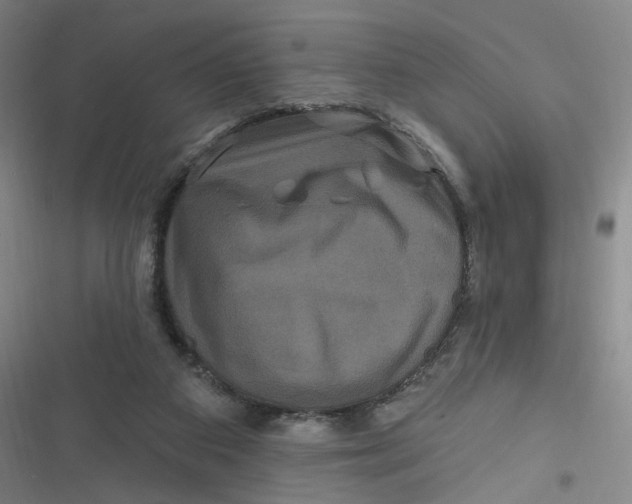 X0000116870113201001121310