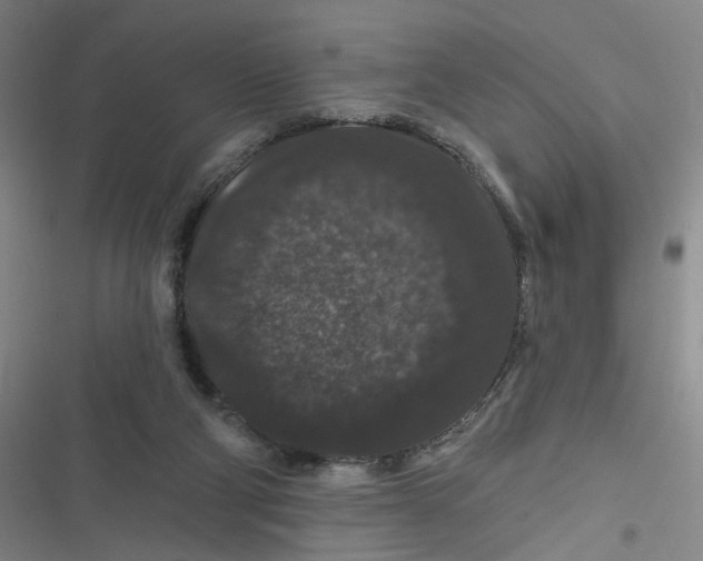 X0000116870114201001121310