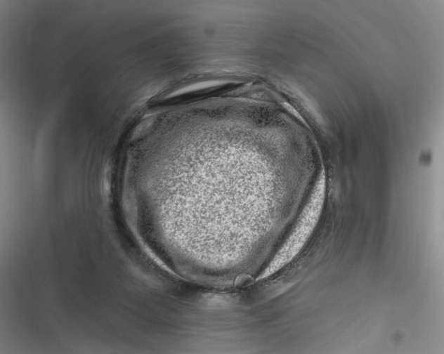 X0000116870115201001121310