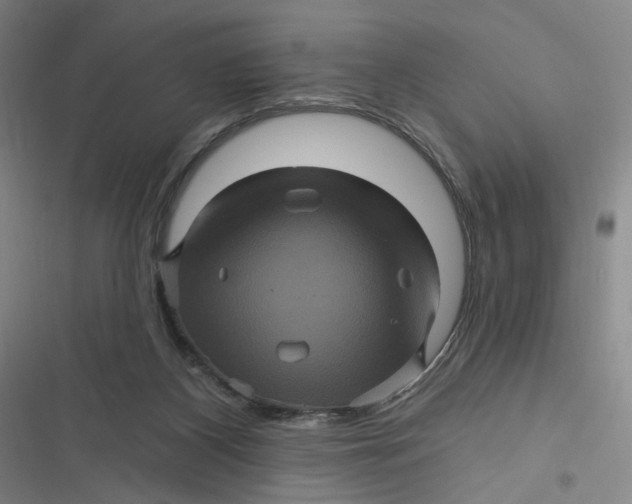 X0000116870116201001121310