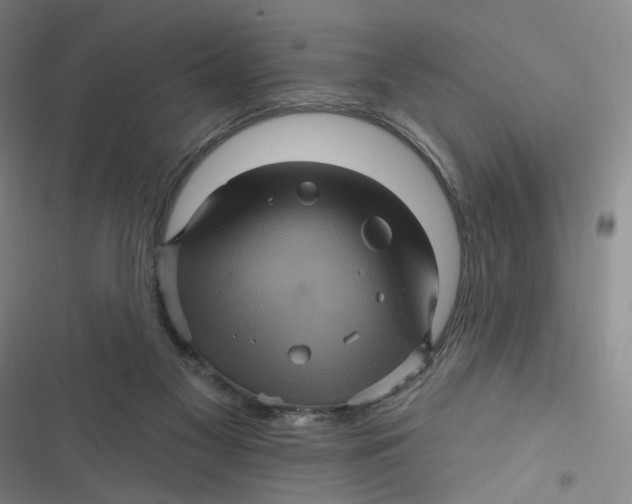 X0000116870117201001121310