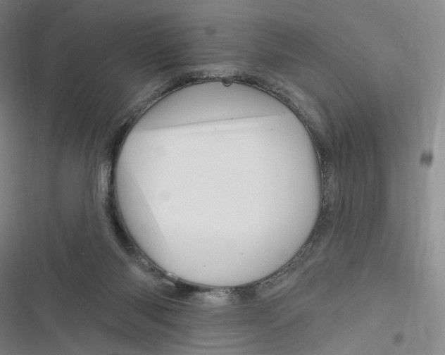 X0000116870118201001121310