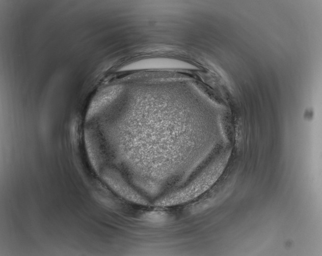 X0000116870119201001121310