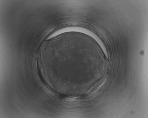 X0000116870120201001121310