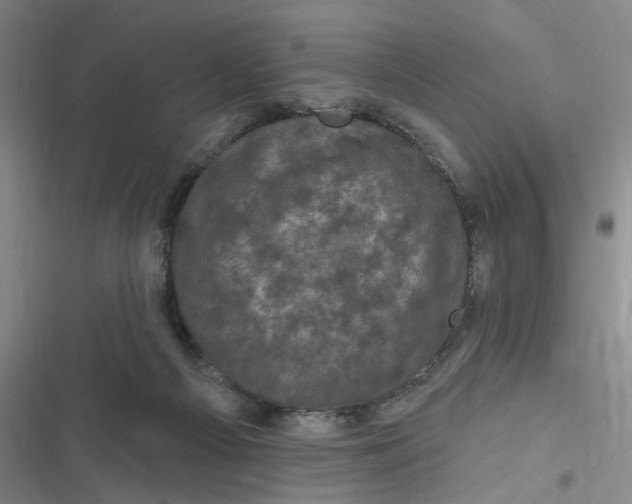 X0000116870121201001121310