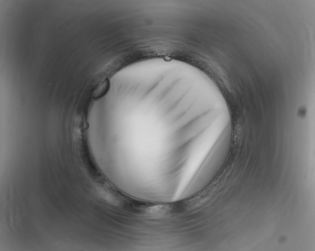 X0000116870122201001121310