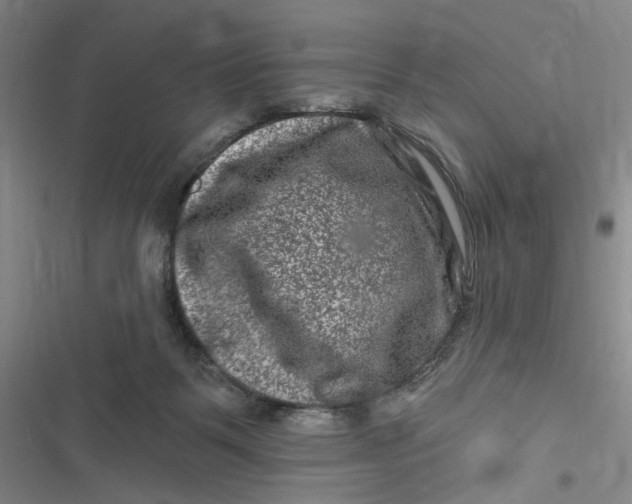 X0000116870123201001121310