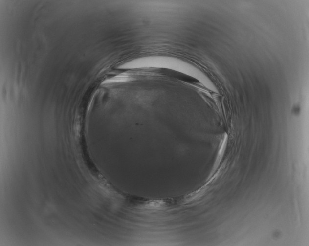 X0000116870124201001121310