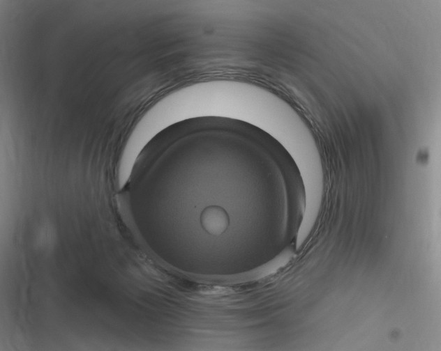 X0000116870125201001121310