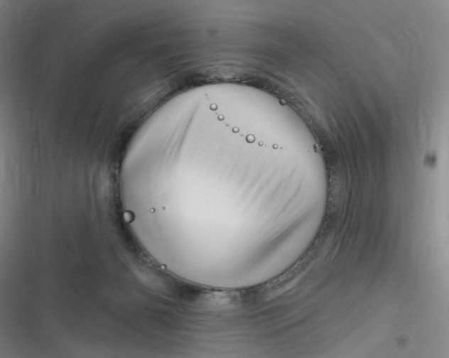 X0000116870126201001121310