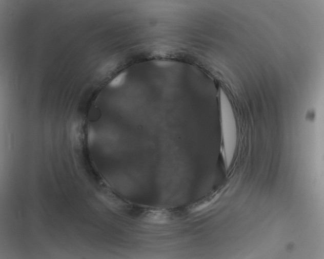 X0000116870127201001121310