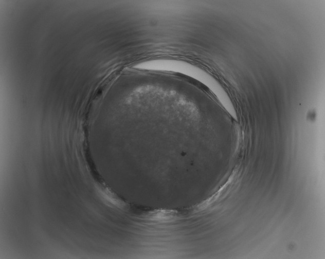 X0000116870128201001121309