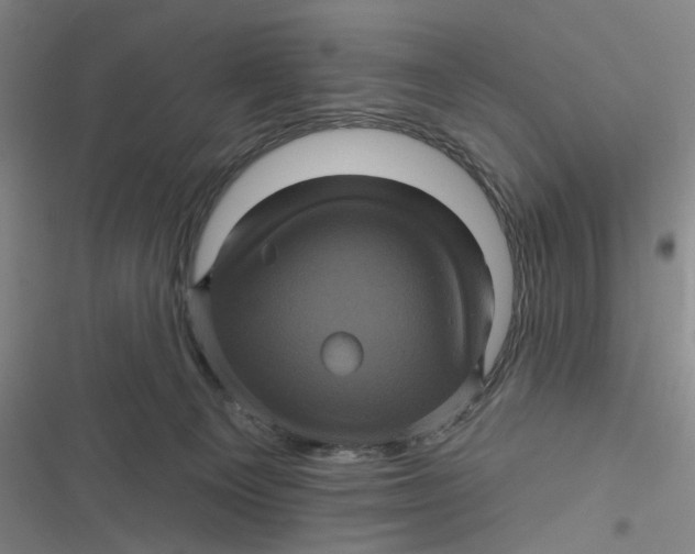 X0000116870129201001121309