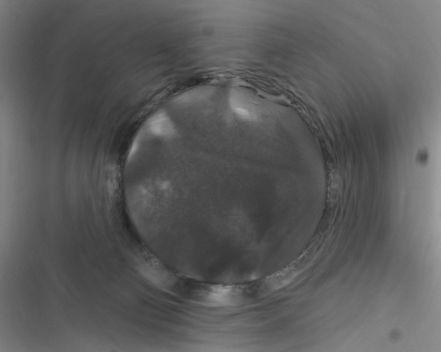 X0000116870130201001121309