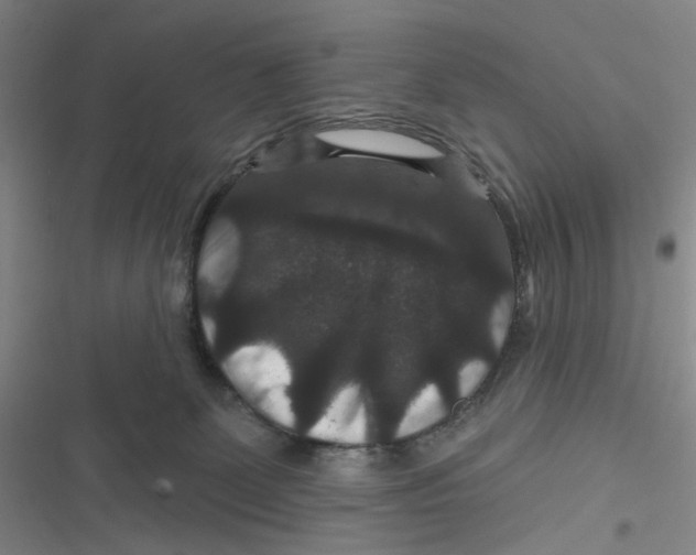 X0000116870131201001121309