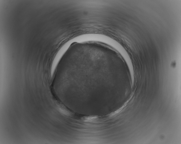 X0000116870132201001121309