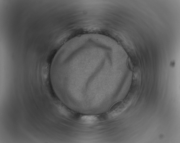 X0000116870133201001121309