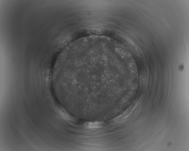 X0000116870134201001121309