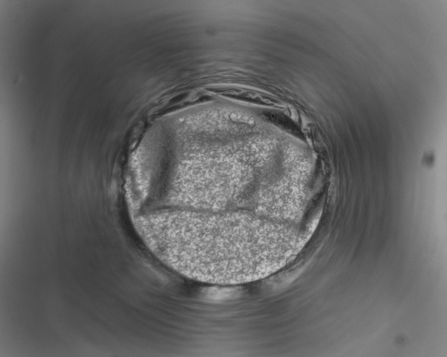 X0000116870135201001121309