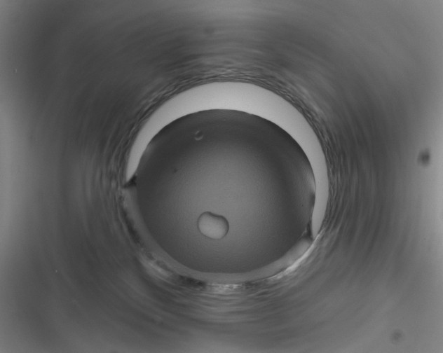 X0000116870136201001121309