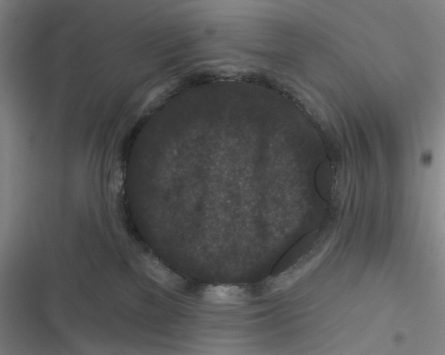 X0000116870137201001121309