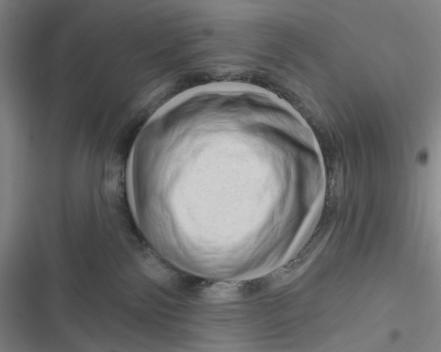 X0000116870138201001121309