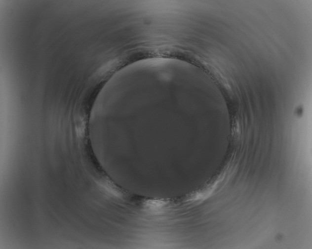 X0000116870139201001121309