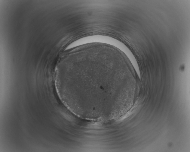 X0000116870140201001121309