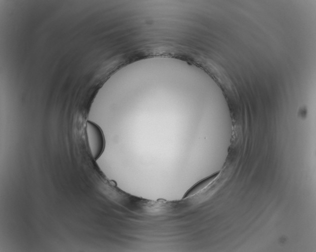 X0000116870142201001121309