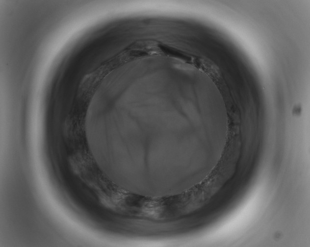 X0000116870143201001121309