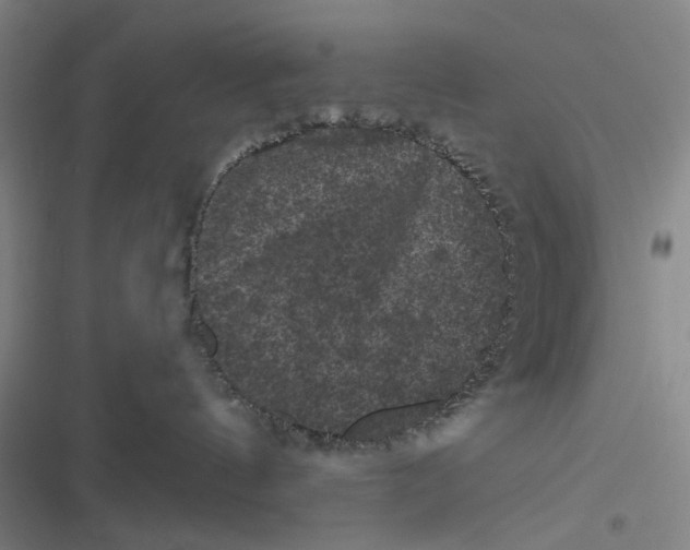 X0000116870144201001121309